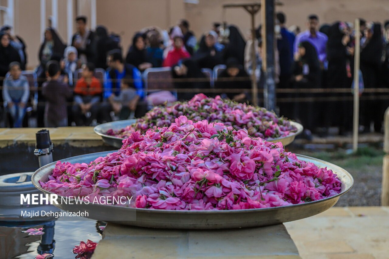 تصاویر: احیای سنت گلاب گیری حرم رضوی در باغ دولت‌آباد یزد