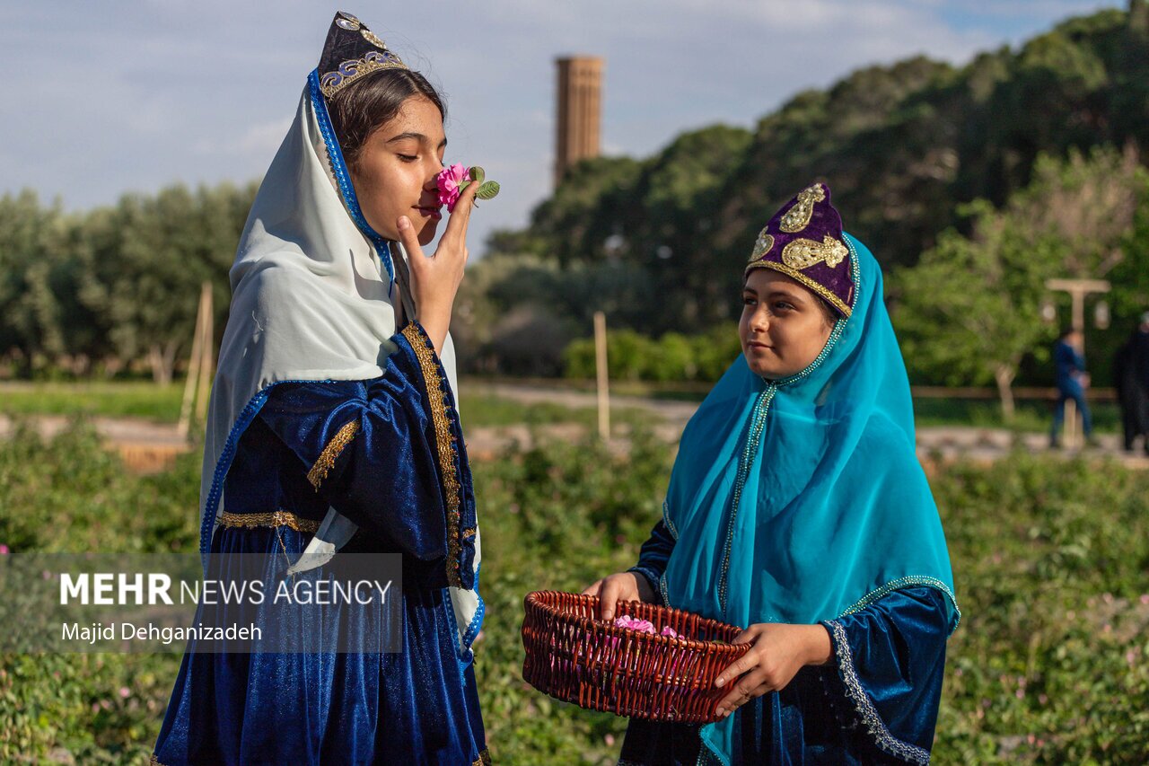 تصاویر: احیای سنت گلاب گیری حرم رضوی در باغ دولت‌آباد یزد