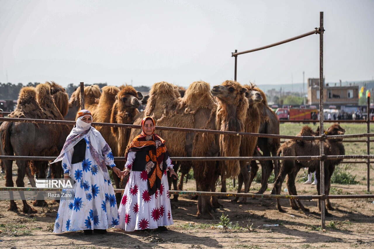 تصاویر: جشنواره کوچ عشایر مغان