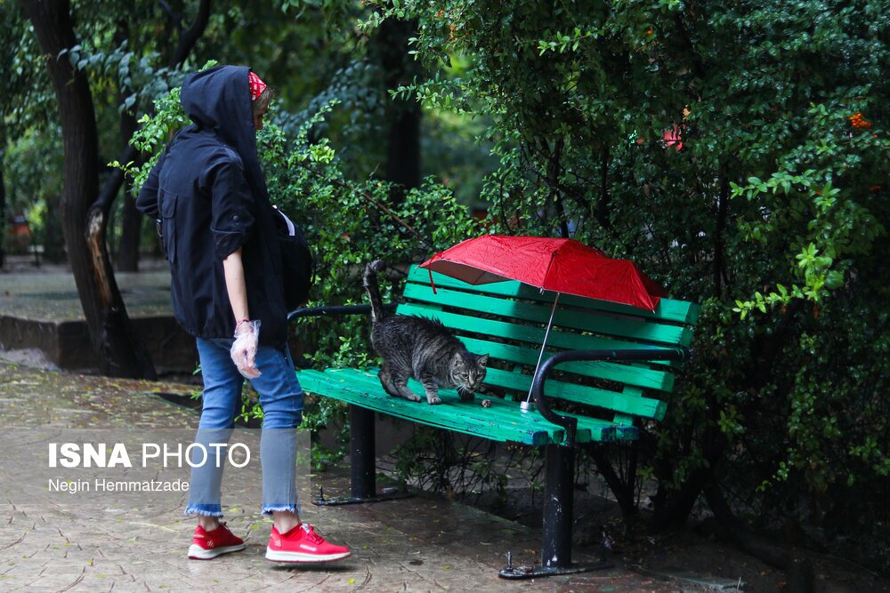 تصاویر: نخستین باران پاییزی تهران