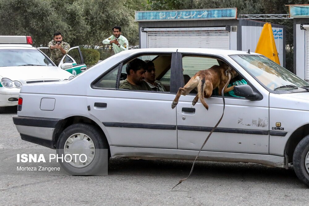 تصاویر: نمایشگاه بین المللی ایپاس ۲۰۲۴