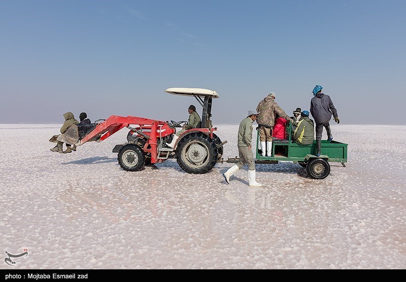 تصاویر: سرشماری پستانداران در جزایر پارک ملی دریاچه ارومیه