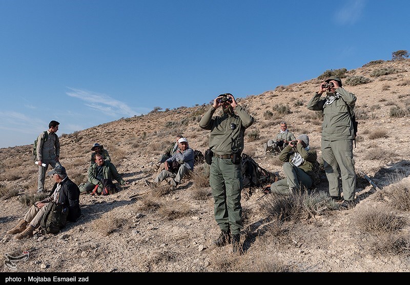 تصاویر: سرشماری پستانداران در جزایر پارک ملی دریاچه ارومیه