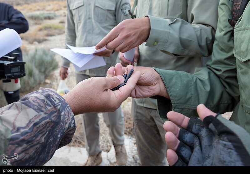 تصاویر: سرشماری پستانداران در جزایر پارک ملی دریاچه ارومیه