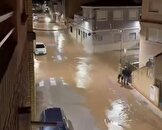 ببینید/ ویدئویی از شروع سیل در اسپانیا