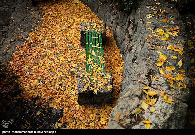 تصاویر: تهران پاییزی