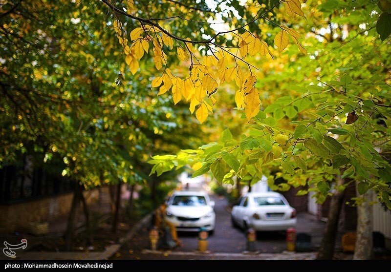 تصاویر: تهران پاییزی