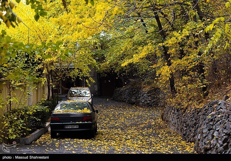 تصاویر: تهران پاییزی