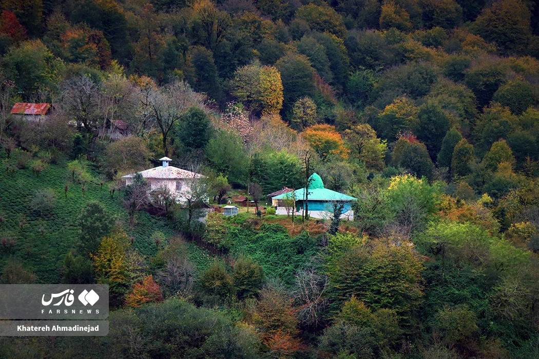 تصاویر: پاییزِ رنگارنگ در جاده سیاهکل به دیلمان