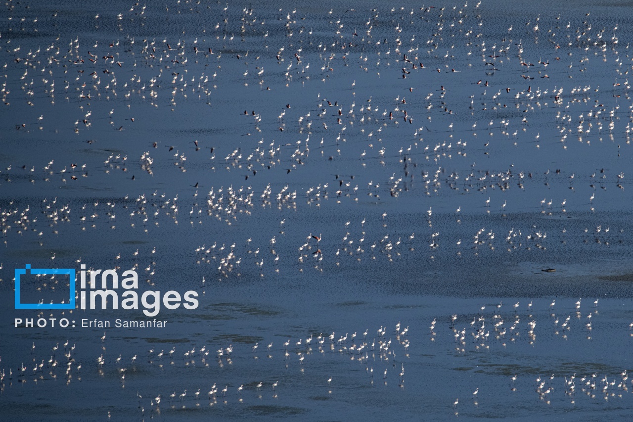 تصاویر: پرواز بر فراز دریاچه مهارلو