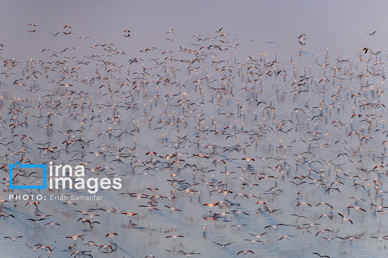 تصاویر: پرواز بر فراز دریاچه مهارلو