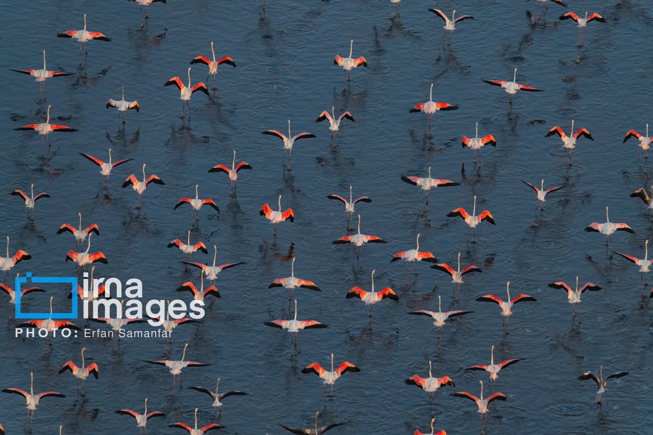 تصاویر: پرواز بر فراز دریاچه مهارلو