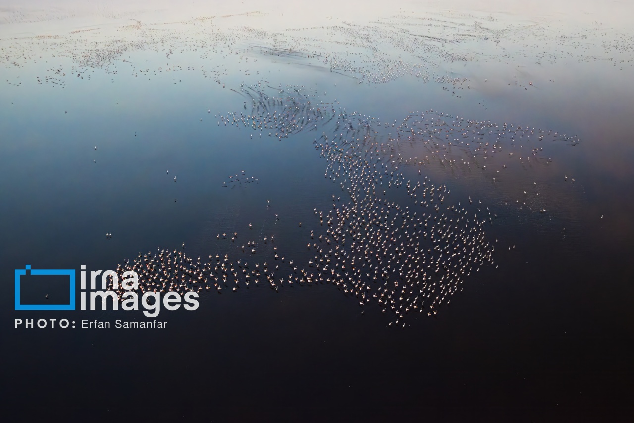 تصاویر: پرواز بر فراز دریاچه مهارلو