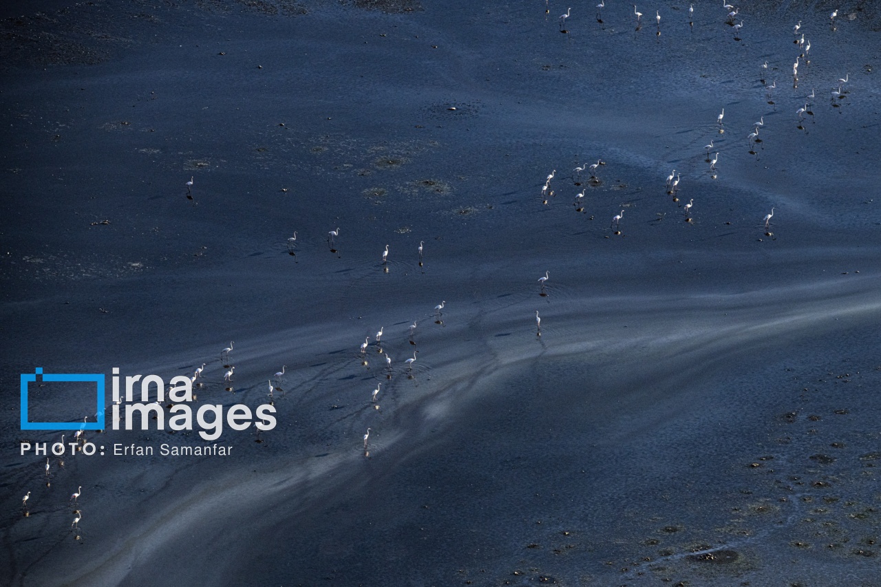 تصاویر: پرواز بر فراز دریاچه مهارلو