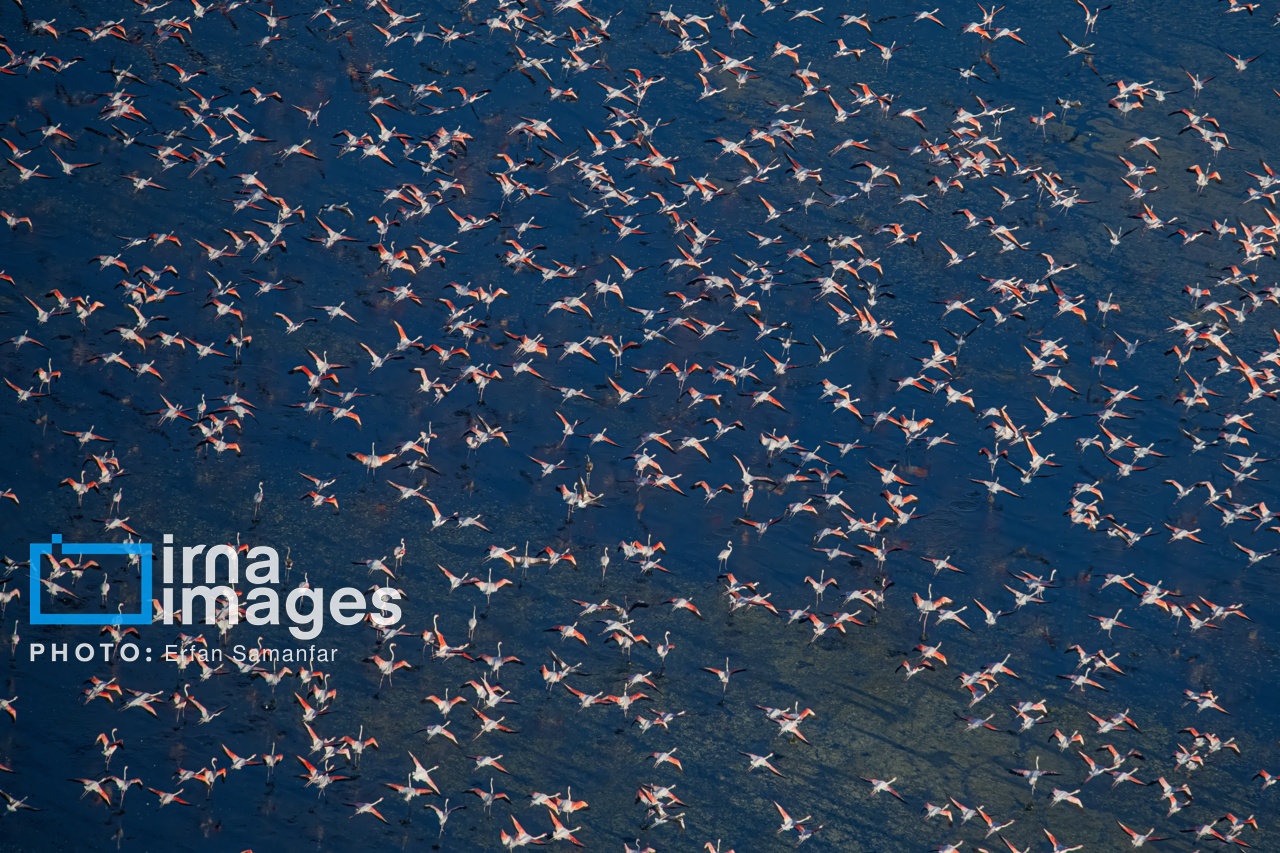 تصاویر: پرواز بر فراز دریاچه مهارلو