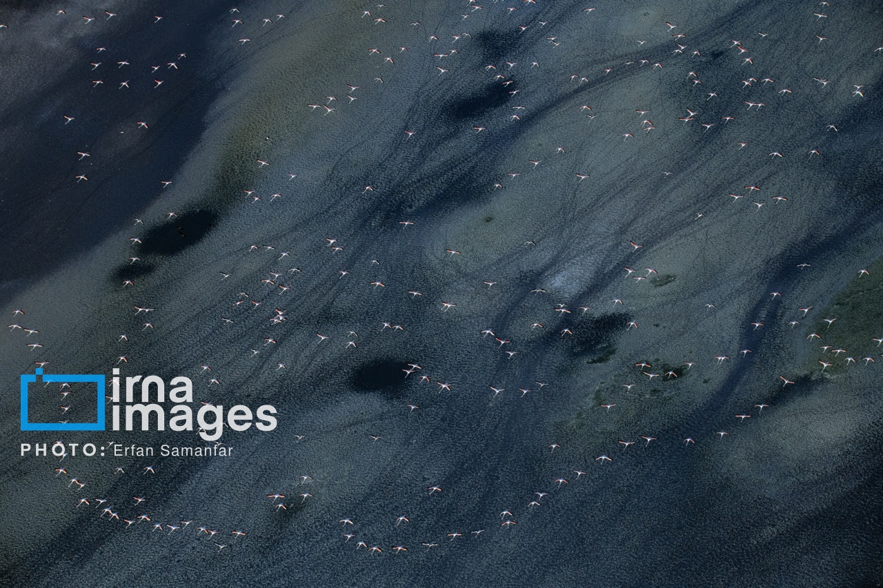 تصاویر: پرواز بر فراز دریاچه مهارلو