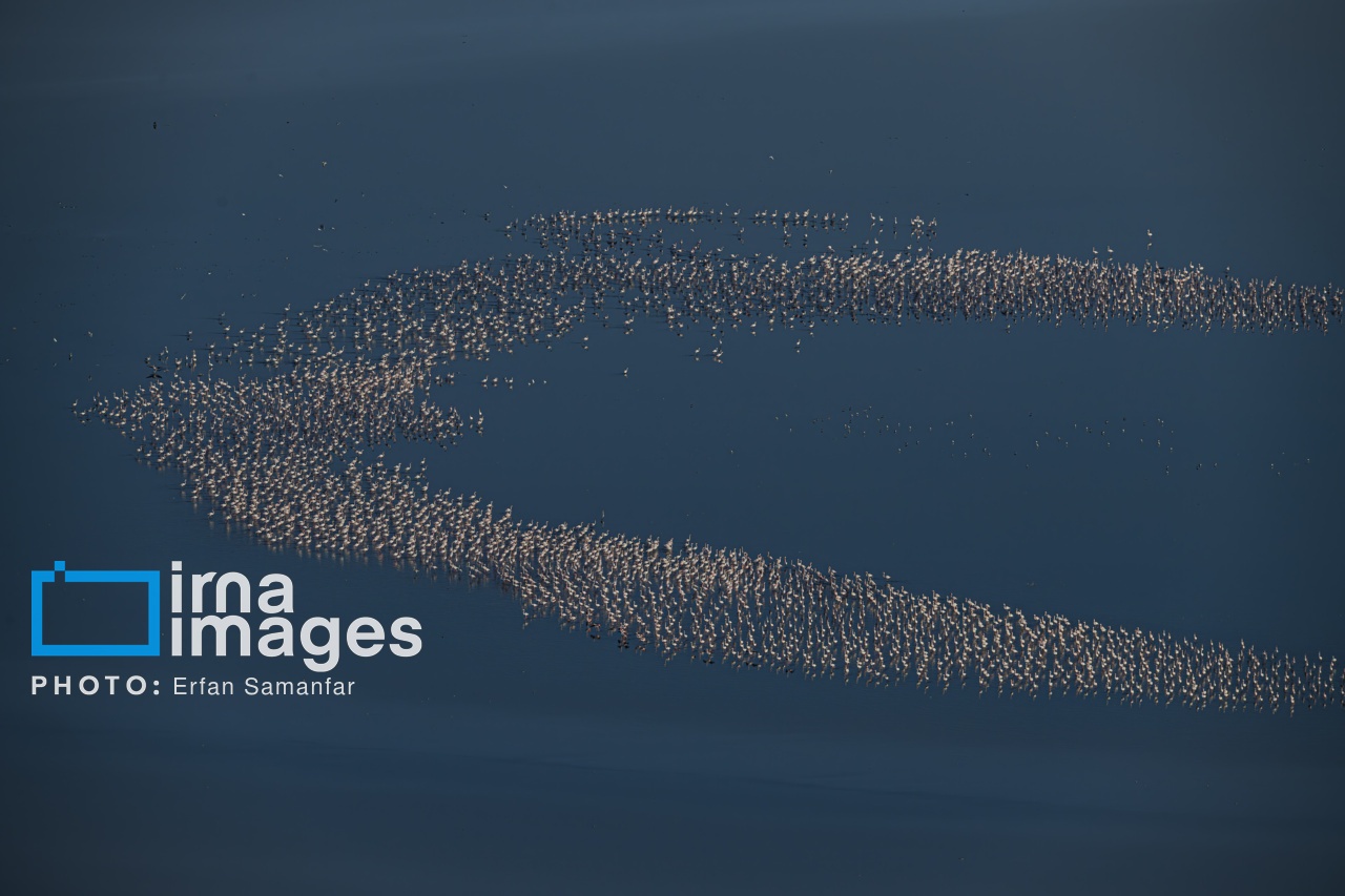 تصاویر: پرواز بر فراز دریاچه مهارلو