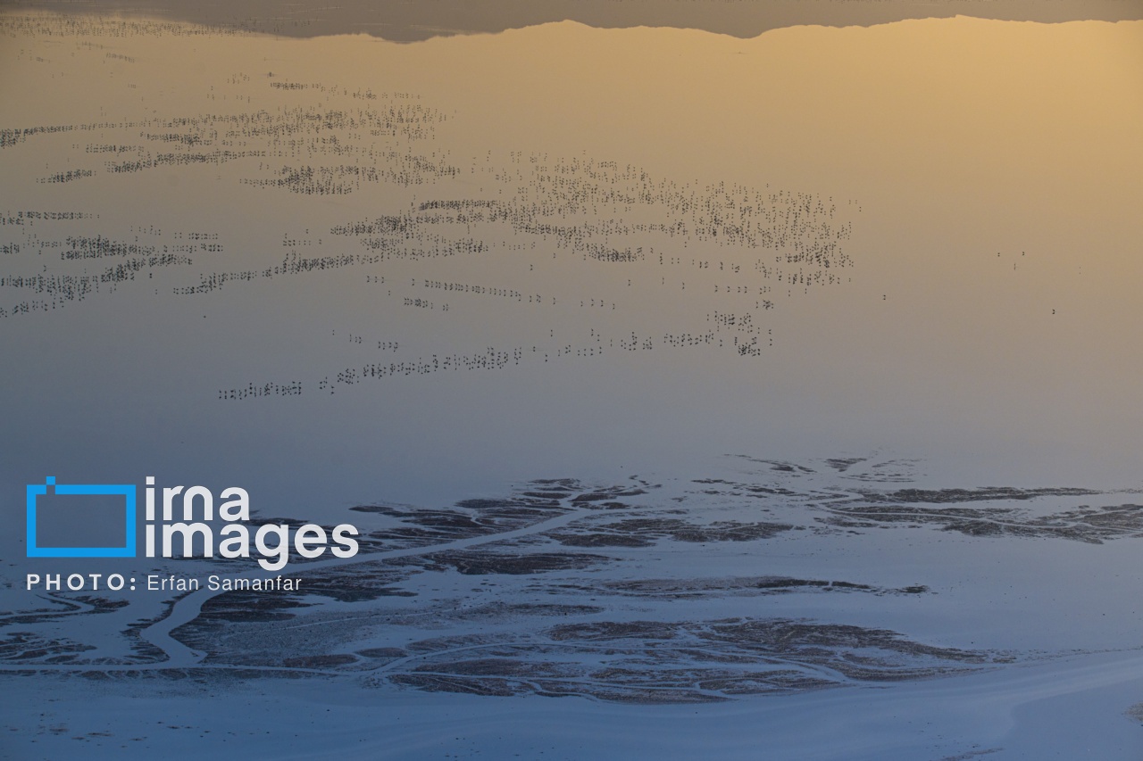 تصاویر: پرواز بر فراز دریاچه مهارلو