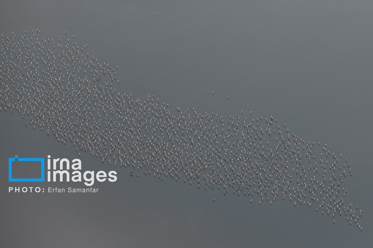 تصاویر: پرواز بر فراز دریاچه مهارلو