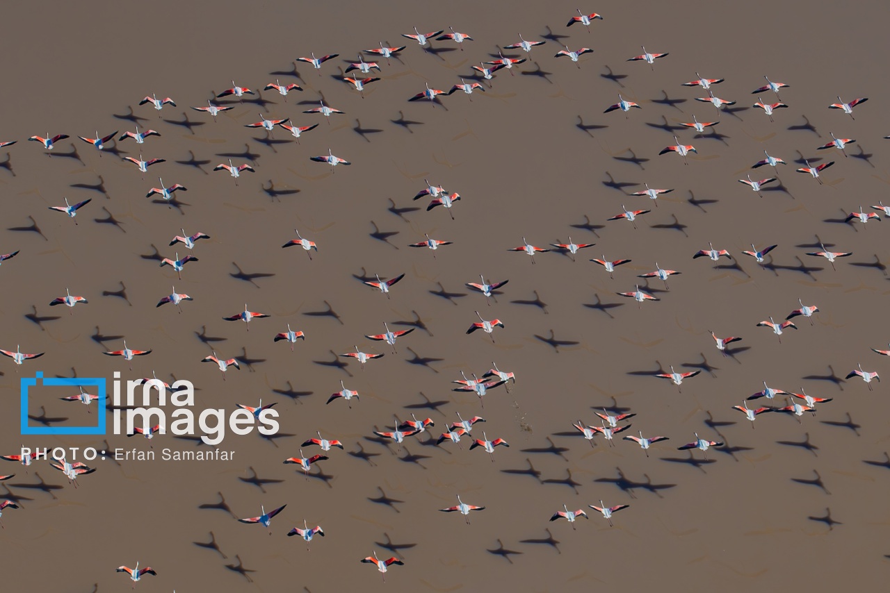 تصاویر: پرواز بر فراز دریاچه مهارلو