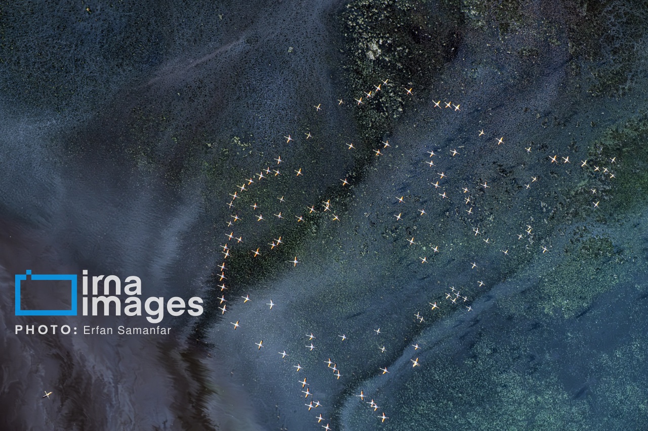 تصاویر: پرواز بر فراز دریاچه مهارلو