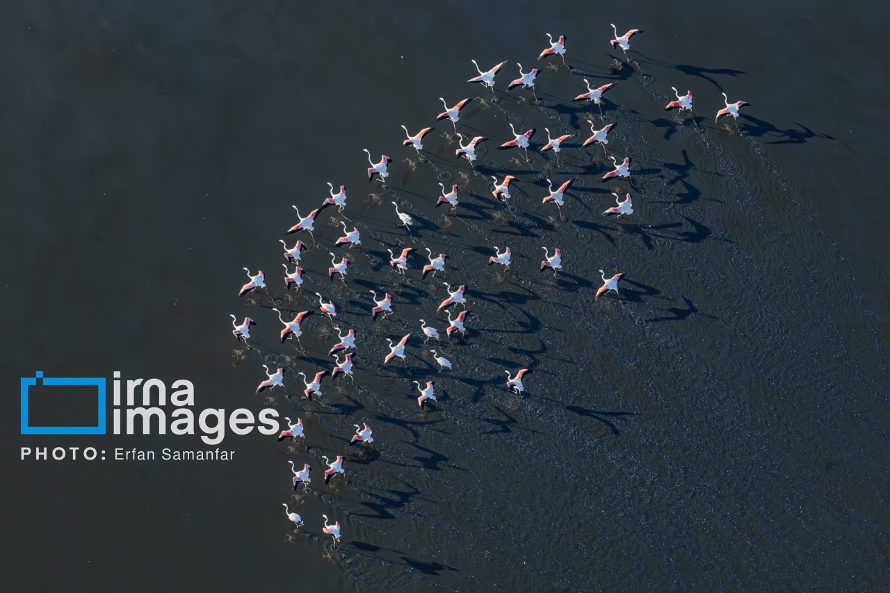 تصاویر: پرواز بر فراز دریاچه مهارلو