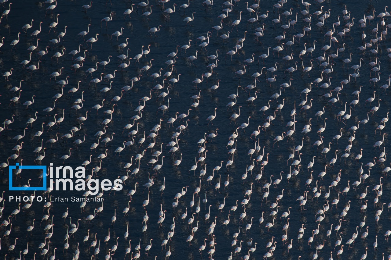 تصاویر: پرواز بر فراز دریاچه مهارلو