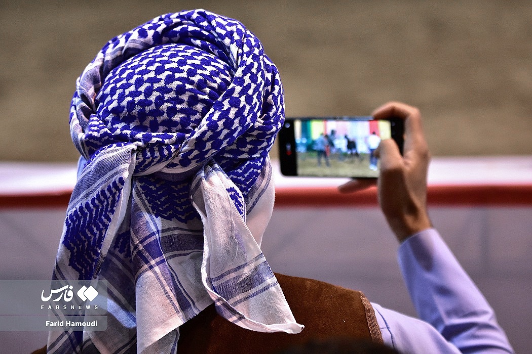 تصاویر: جشنواره زیبایی اسب اصیل عرب