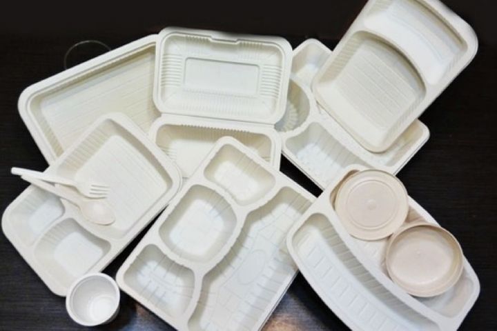 مصرف  ظروف یک‌بار مصرف پلاستیکی در سازمان محیط زیست ممنوع شد