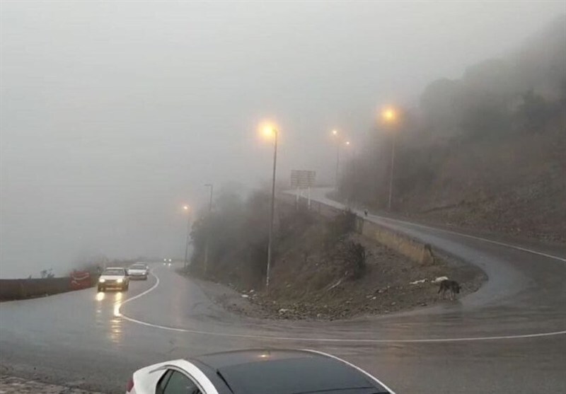 وضعیت جاده‌ها و راه‌ها، امروز ۲۱ دی ۱۴۰۴؛ تردد روان در محورهای شمالی/ ترافیک سنگین در برخی آزادراه‌ها/ ۳ محور، دارای انسداد فصلی