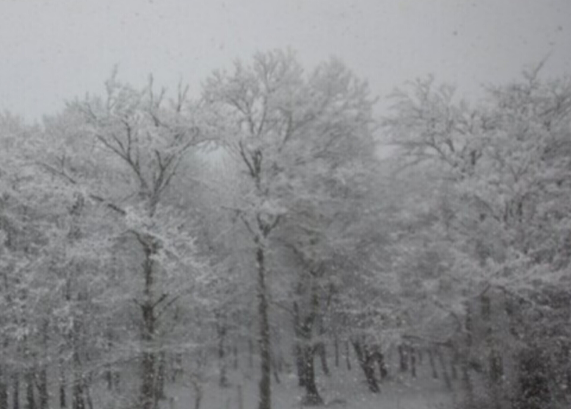 هواشناسی: برف و باران و باد در ۲۸ استان/ احتمال آب‌گرفتگی معابر