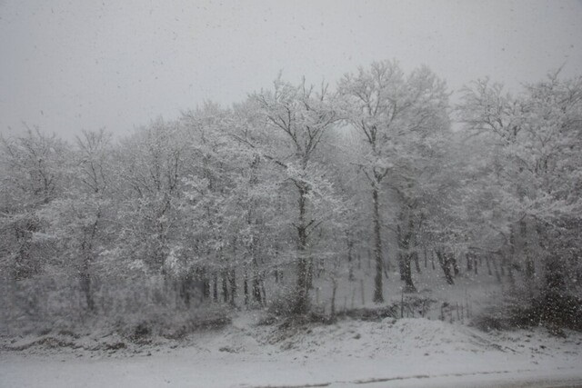برف و باران و باد در ۲۸ استان/ احتمال آبگرفتگی معابر