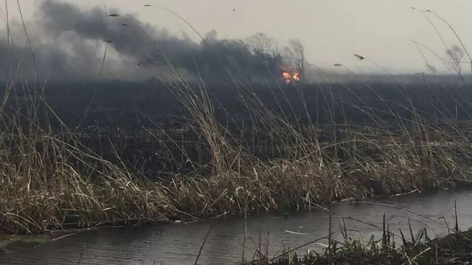 باران آتش هورالعظیم را خاموش کرد / تالاب هورالعظیم تقریبا به طور کامل خشک شده؛ با یکی دو بارندگی، تالاب آب‌دار نمی‌شود