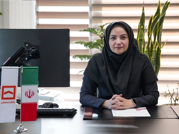 توسعه اثربخشی تسهیلات مسکن/ تنوع سبد محصولات برای رضایتمندی مشتریان توسعه اثربخشی تسهیلات مسکن/ تنوع سبد محصولات برای رضایتمندی مشتریان