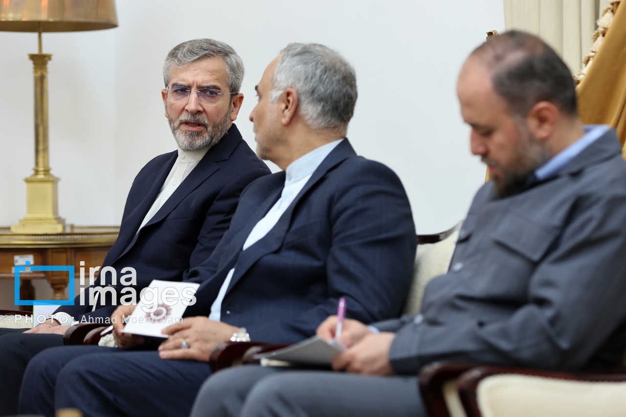 تصاویر: دیدار وزیر خارجه عراق با دبیر شورای عالی امنیت ملی