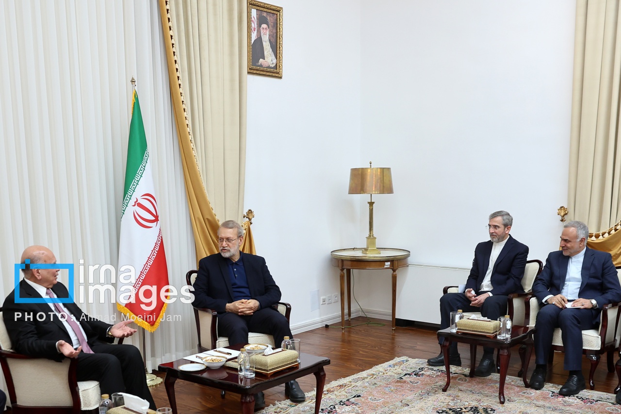 تصاویر: دیدار وزیر خارجه عراق با دبیر شورای عالی امنیت ملی