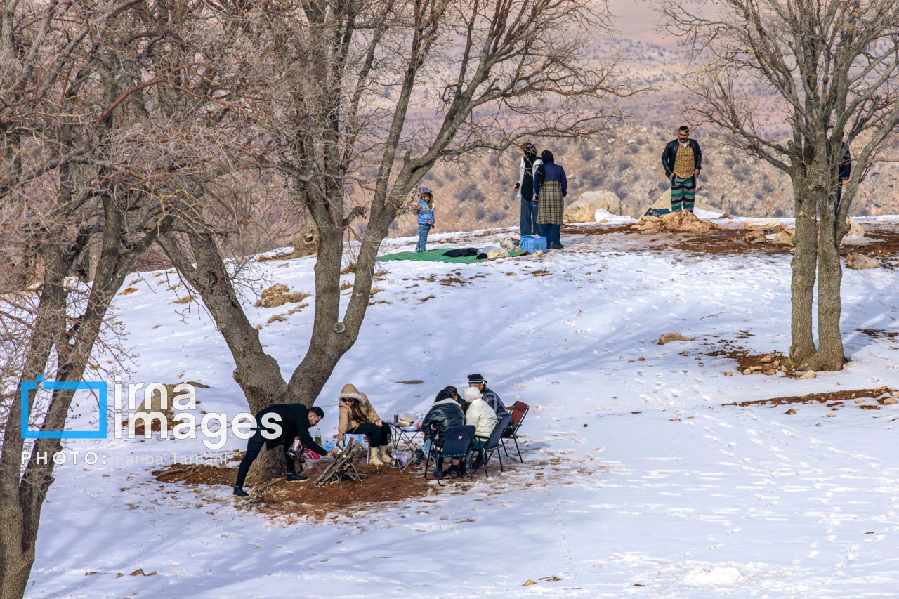 تصاویر: تفریحات زمستانی در کوه هشتاد پهلو