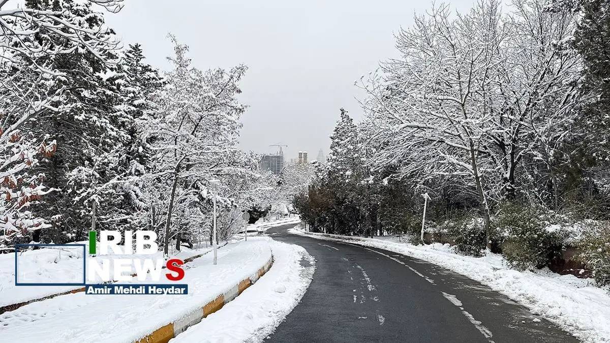 تصاویر/ بارش برف زمستانی در تهران