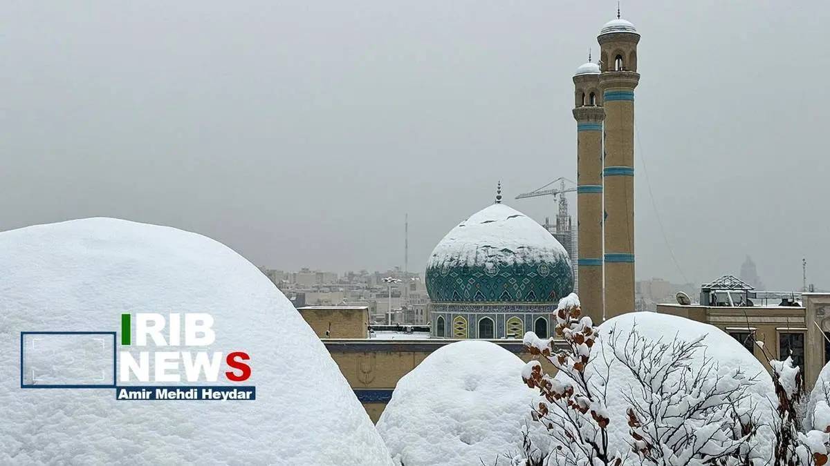 تصاویر/ بارش برف زمستانی در تهران