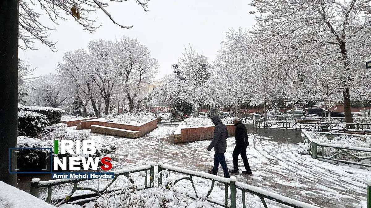 تصاویر/ بارش برف زمستانی در تهران