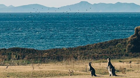 یک وب‌سایت گردشگری ساخته‌شده با هوش مصنوعی گردشگران را به چشمه آب‌گرم خیالی فرستاد
