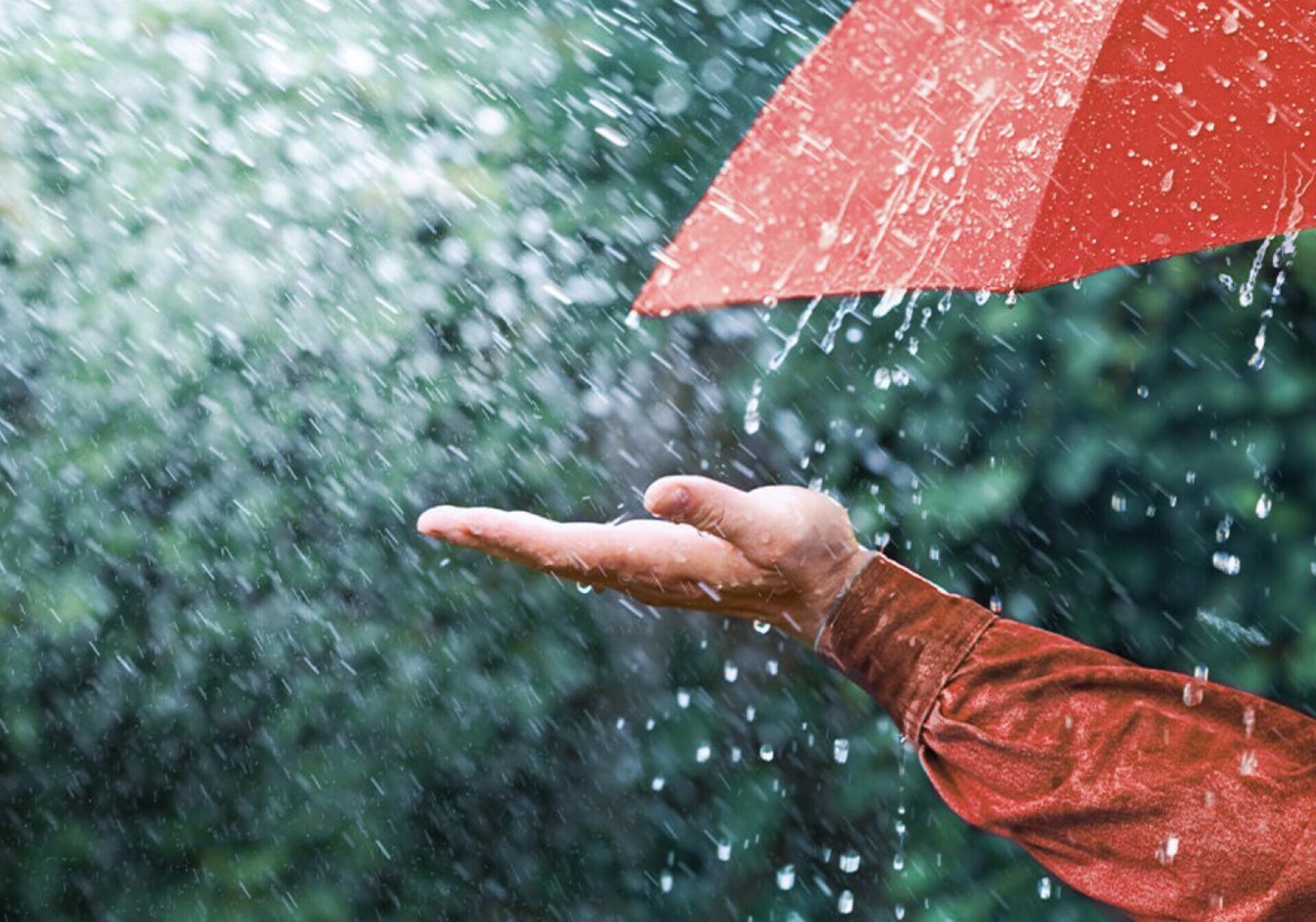 وضعیت آب و هوا، امروز ۱۲ بهمن ۱۴۰۴؛ ورود سامانه بارشی جدید از سه‌شنبه؛ هشدار بارش برف و باران در ۳۱ استان