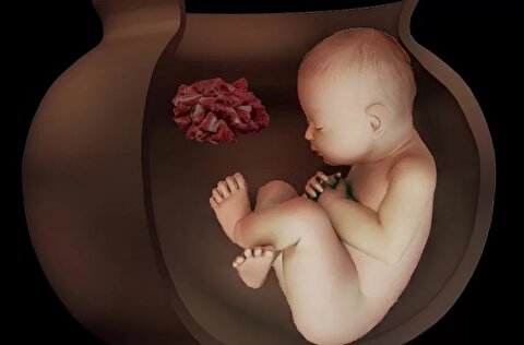 آیین عجیب تدفین ایرانیان باستان؛ دو جنین ۶۵۰۰ ساله در تپه چپرآباد ایران کشف شدند