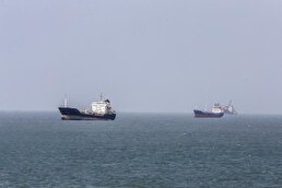 ببینید / صف کشتی‌های تجاری و نفتکش‌ها در تنگه هرمز به حدود یک مایل رسید