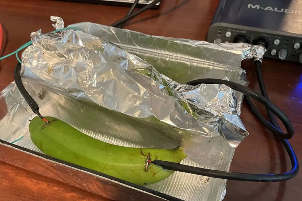 کابل چند هزار دلاری در برابر موز؛ کدام یک صدای با کیفیت‌تری منتقل می‌کند؟/ نتیجه شگفت‌انگیز است