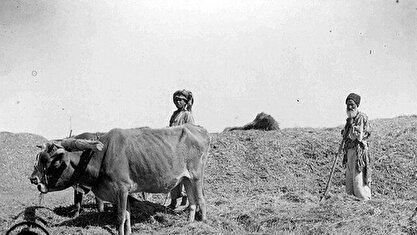 قسمت صد و شصت و چهارم خاطرات میلسپو: کسانی که برنامه پیشرفت را تدوین و اجرا می‌کنند باید همواره روستائی فقیر و بیسواد ایرانی را که «کمرش زیر وزنه قرن‌های متمادی خم شده است» در نظر بگیرند