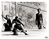 عکس/ تصویری کمیاب از جشن هنر شیراز