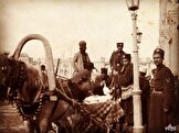 عکس/حمل پول با روش قاجاری ها