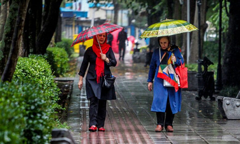 باد و باران در نقاط مختلف تهران