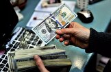 صعود دلار چه زمانی متوقف می شود؟ / محمدرضا یوسفی، استاد اقتصاد، تحلیل می‌کند